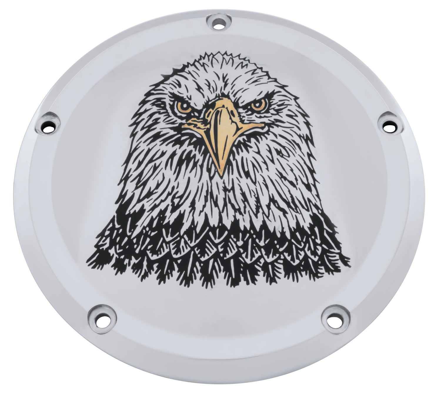 Animal, Eagle with Attitude