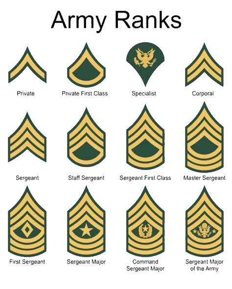 Army Rank Insignias